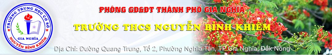 TRƯỜNG THCS NGUYỄN BỈNH KHIÊM